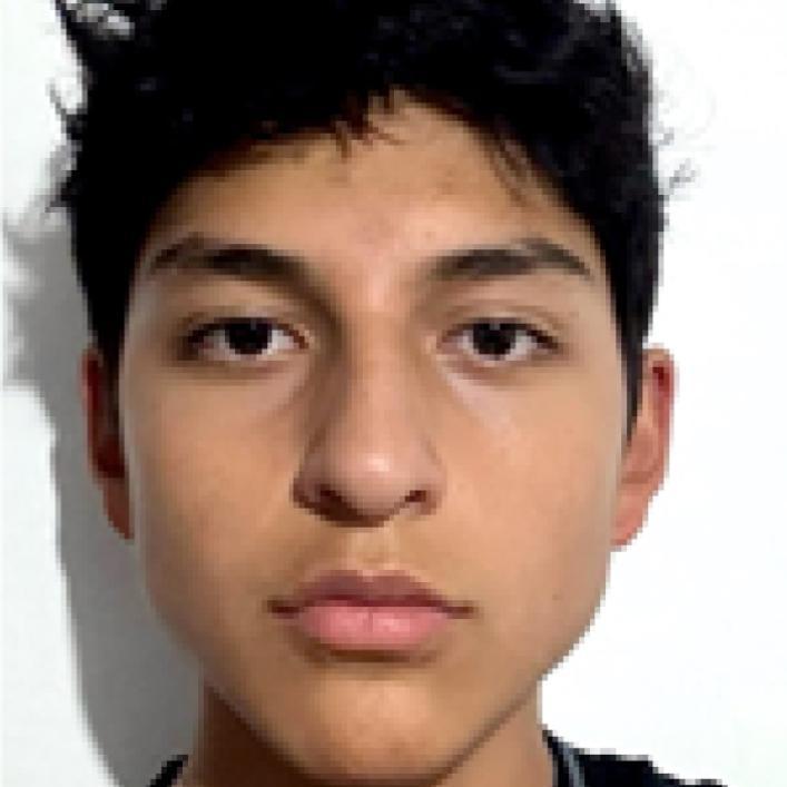 User Image